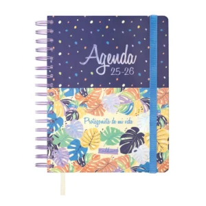 Agenda Talkual 8º 25-26 Vida Semana Vista
