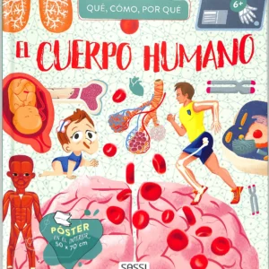El cuerpo humano