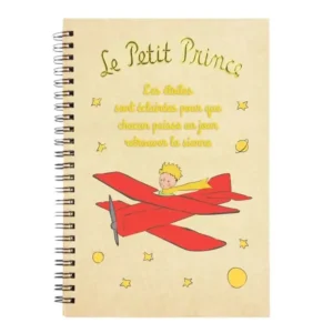 CUADERNO ANILLAS A5 EL PRINCIPITO AVION