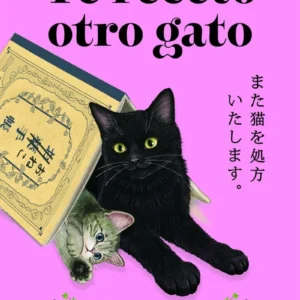 Te Receto Otro Gato